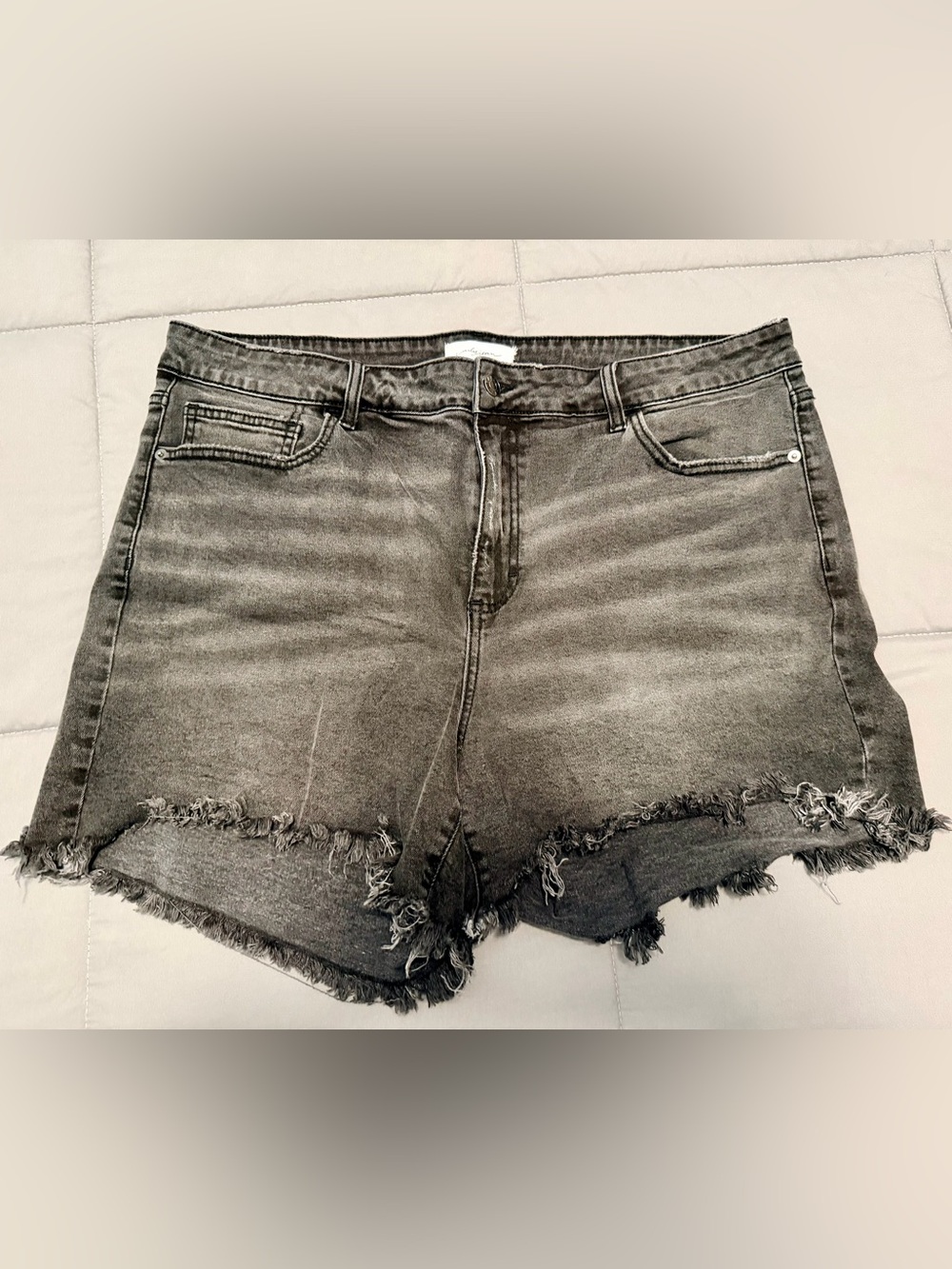 CJLA Washed Black Distressed Denim Cutoff Shorts - 2X